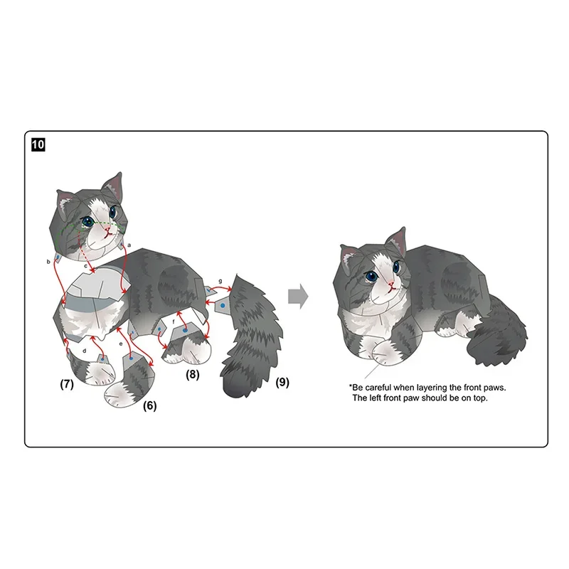 Norwegische Waldkatze, faltbar – Art Craft Cardboard Bewertung und Preis